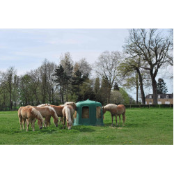 Ratelier à foin dans le pré avec chevaux Ratelier à foin dans le pré avec chevaux