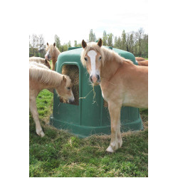 Ratelier hexagonal avec cheval mangeant le foin Ratelier hexagonal avec cheval mangeant le foin