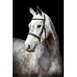 Bridon Montar Hunter Noir