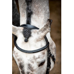 Bridon Montar Hunter Noir