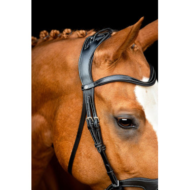 Bridon Montar Monarch cuir tanné de manière organique Noir