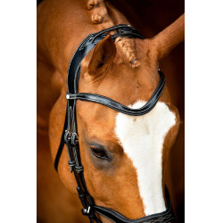 Bridon Montar Monarch cuir tanné de manière organique Noir