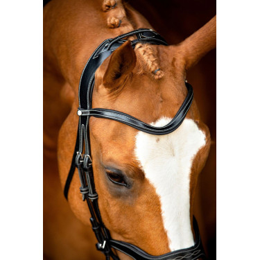 Bridon Montar Monarch cuir tanné de manière organique Noir