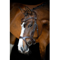 Bridon Montar Monarch cuir tanné de manière organique Marron