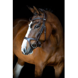 Bridon Montar Monarch cuir tanné de manière organique Marron