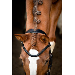 Bridon Montar Normandie cuir tanné Noir