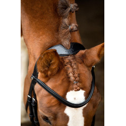 Bridon Montar Normandie cuir tanné Noir