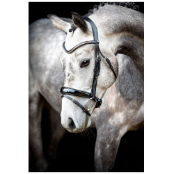 Bridon Montar Normandie Deluxe cuir tanné Noir