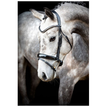 Bridon Montar Normandie Deluxe cuir tanné Noir