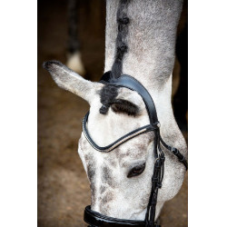 Bridon Montar Normandie Deluxe cuir tanné Noir