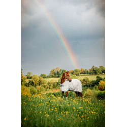 Couverture anti-mouches Horseware Newmarket Charbon de bois witney Gris