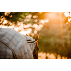 Couverture anti-mouches Horseware Newmarket Plus Marine witney Bleu marine