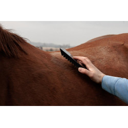 Etrille acier Grooming Deluxe Noir Etrille acier Grooming Deluxe Noir