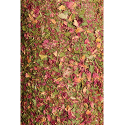 Jouet en bois relaxant Grooming Deluxe avec pierre à sel Airway Jouet en bois relaxant Grooming Deluxe avec pierre à sel Airway