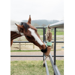 Jouet en bois relaxant Grooming Deluxe avec pierre à sel Airway Jouet en bois relaxant Grooming Deluxe avec pierre à sel Airway