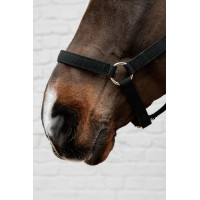 Licol en Nylon Kentucky Noir Licol en Nylon Kentucky Noir