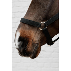 Licol en Nylon Kentucky Noir