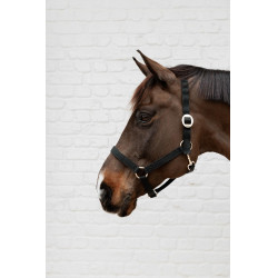 Licol en Nylon Kentucky Noir