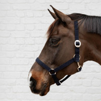 Licol en Nylon Kentucky Marine Bleu marine Licol en Nylon Kentucky Marine Bleu marine