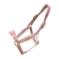 Licol Velvet Licorne pailletée Kentucky