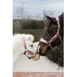 Licol Velvet Licorne pailletée Kentucky Vieux rose