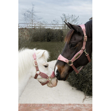 Licol Velvet Licorne pailletée Kentucky Vieux rose