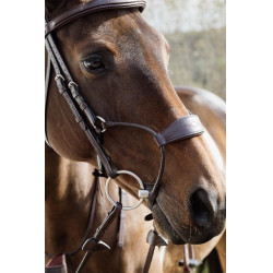Muserolle Hybride Dy'on New English Collection Marron