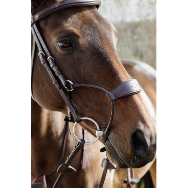 Muserolle Hybride Dy'on New English Collection Marron