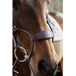 Muserolle Hybride Dy'on New English Collection Marron