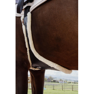 Sangle bavette Kentucky anatomique mouton Sangle bavette Kentucky anatomique mouton