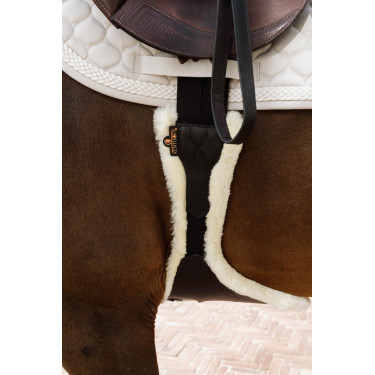 Sangle bavette Kentucky anatomique mouton Sangle bavette Kentucky anatomique mouton