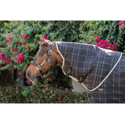 Couverture d'écurie Horseware Rhino 350g VL Noir / carreaux blanc gris Couverture d'écurie Horseware Rhino 350g VL Noir / carreaux blanc gris