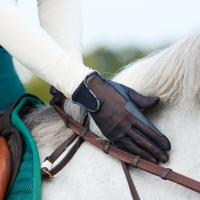 Gants d'équitation Kingsland KLNoe d'été Gris thundercloud