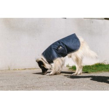 Couverture pour chien Equithème TYREX 600D Couverture pour chien Equithème TYREX 600D