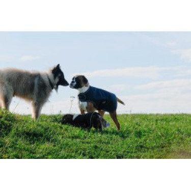 Couverture pour chien Equithème TYREX 600D Couverture pour chien Equithème TYREX 600D