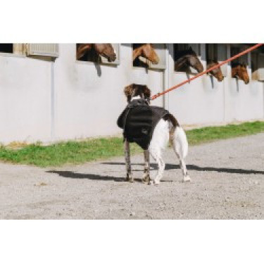 Couverture pour chien Equithème Softshell Couverture pour chien Equithème Softshell
