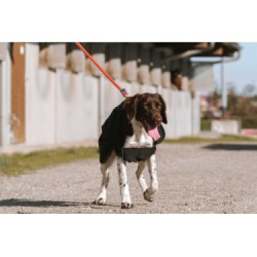 Couverture pour chien Equithème Softshell Couverture pour chien Equithème Softshell