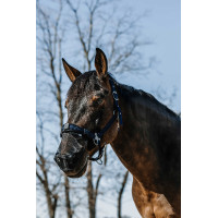 Protetion nez anti UV Equithème Noir