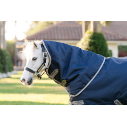Couverture Horseware Amigo 1200D Plus Poney Turnout 50g Marine / gris titane / argent Bleu marine Couverture Horseware Amigo 1200D Plus Poney Turnout 50g Marine / gris titane / argent Bleu marine