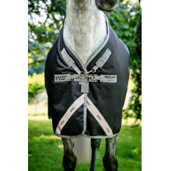 Couverture Horseware Amigo 1200D Turnout 100g Noir / gris titane / argent