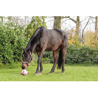 Ballon de jeu HKM chevaux Fun Ballon de jeu HKM chevaux Fun