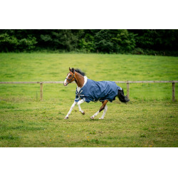 Couverture Horseware Amigo 1200D XL Turnout 50g Marine / gris titane / argent Bleu marine Couverture Horseware Amigo 1200D XL Turnout 50g Marine / gris titane / argent Bleu marine