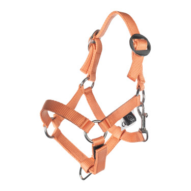 Licol et longe HKM Hobby Horsing Basic Licol et longe HKM Hobby Horsing Basic