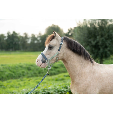 Licol HKM Barnie Vert clair / vert foncé Licol HKM Barnie Vert clair / vert foncé