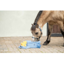 Set de pansage HKM Kids set de 7 pièces Bleu clair