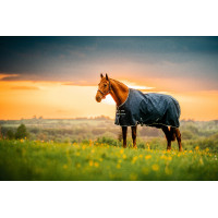 Couverture Horseware Amigo Ripstop 900D Poney Turnout 100g Marine witney Bleu marine