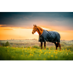 Couverture Horseware Amigo Ripstop 900D Poney Turnout 200g Marine witney Bleu marine