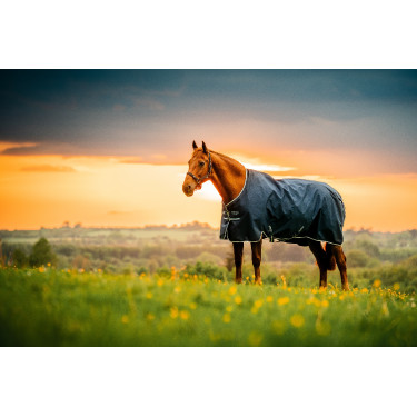 Couverture Horseware Amigo Ripstop 900D Poney Turnout 200g Marine witney Bleu marine