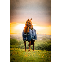 Couverture Horseware Amigo Ripstop 900D Poney Turnout 200g Marine witney Bleu marine
