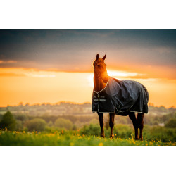 Couverture Horseware Amigo Ripstop 900D Turnout 100g Marine witney Bleu marine Couverture Horseware Amigo Ripstop 900D Turnout 100g Marine witney Bleu marine